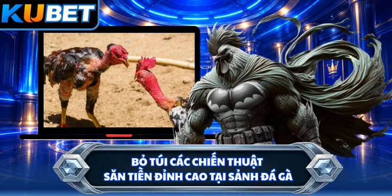 Bỏ túi các chiến thuật săn tiền đỉnh cao tại sảnh đá gà