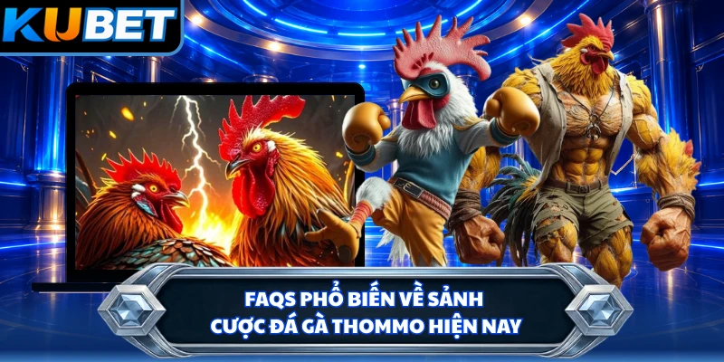 FAQs phổ biến về sảnh cược đá gà thommo hiện nay