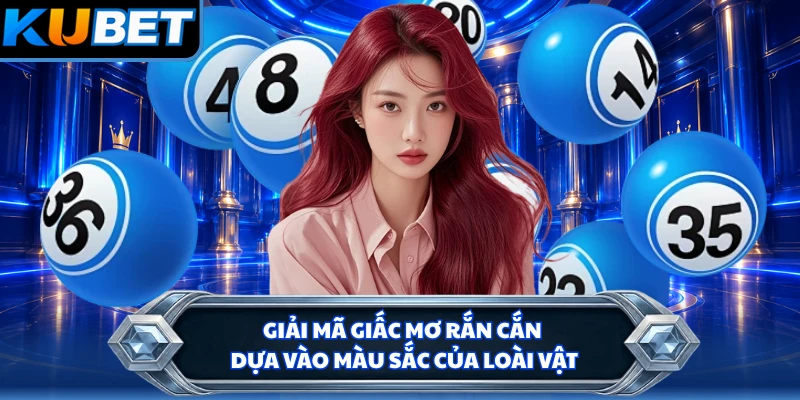 Giải mã giấc mơ rắn cắn dựa vào màu sắc của loài vật