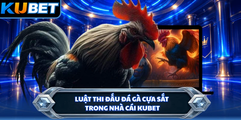 Luật thi đấu đá gà cựa sắt trong nhà cái KUBET
