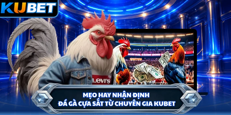 Mẹo hay nhận định đá gà cựa sắt từ chuyên gia KUBET