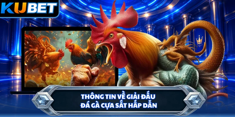 Thông tin về giải đấu đá gà cựa sắt hấp dẫn